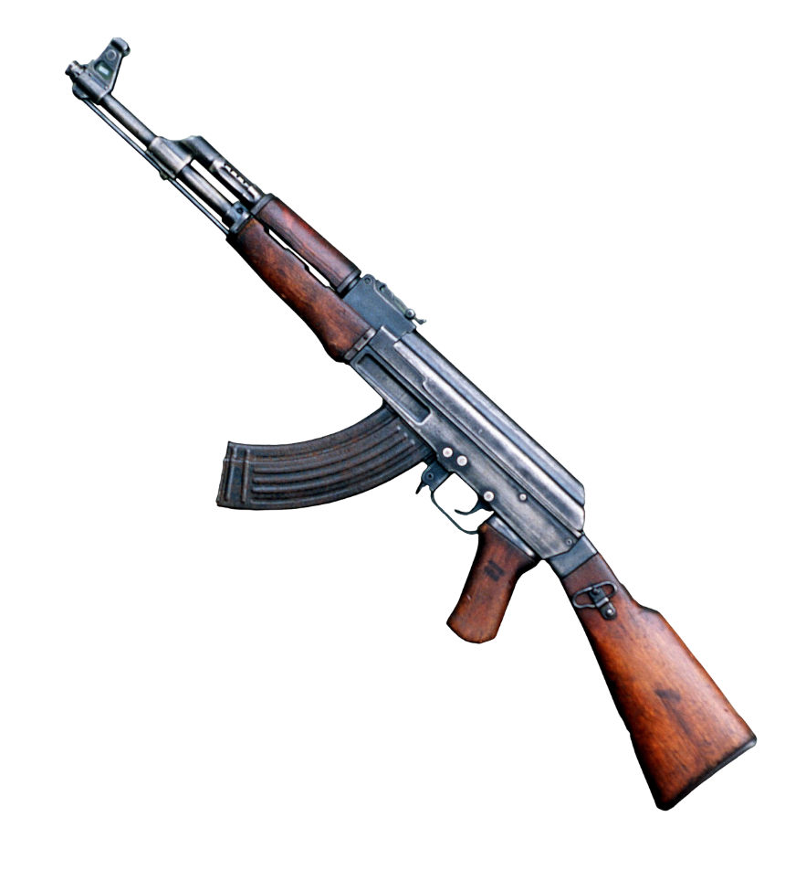 Gun
