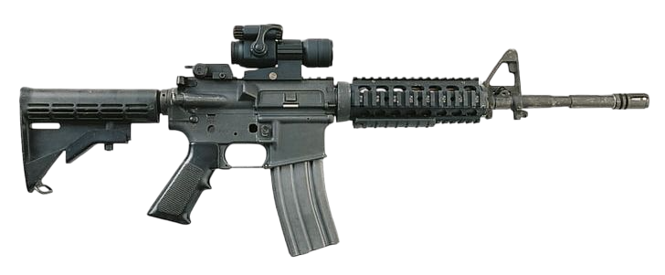 Gun